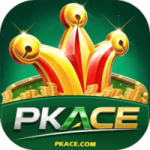 Pkace game