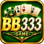 BB333